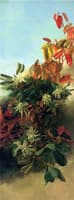 Madrone, Dogwood and Elderberry (I)