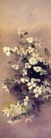 Madrone, Dogwood and Elderberry (II)