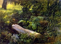 The Grosser Garten, Dresden