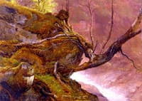 Tree Study, by a Stream, Granvin