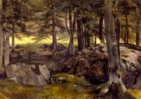 Beech Grove, Rocky Foreground