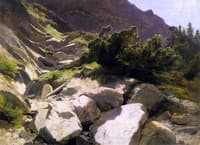 Riverbed at Rosenlaui