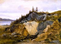 Study of Rocky Lakeside Landscape