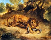 Lion and Caiman