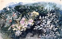 Flower bed with Hydrangeas, Scillas and Anemones