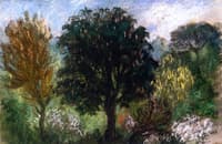 Trees in a Park
