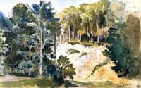 Landscape near Cany