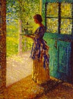 The Birdcage