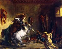 Horses Fighting in a Stable