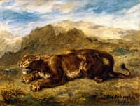 Lioness Ready to Spring