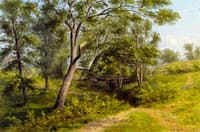 New York Landscape