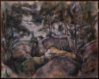 Rocks in the Forest
