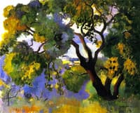 Landscape at St Tropez