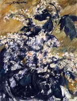 Horse Chestnut Blossoms