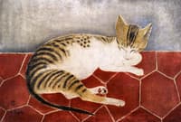Reclining Cat