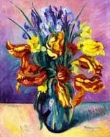 Parrot Tulips