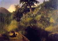 The Old Bog Hole