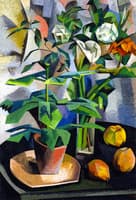 Still LIfe