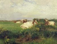 Cows in a Field