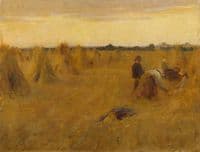 The Cornfield