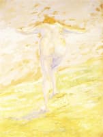 Nude on a Mountain Peak