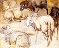 Flock of Sheep II