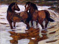Two Horses at a Watering Place