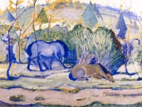 Horses at Pasture
