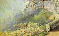 Autumn Sunlight