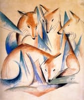 Foxes