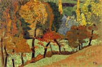 Trees along a Creek
