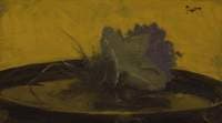 Violets