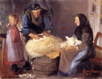 Sheep Shearing