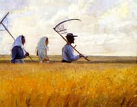 Harvest Time