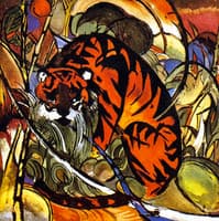 Tiger in Jungle