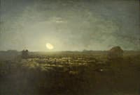Le parc au moutons à clair de lune
