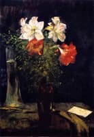 Amaryllis