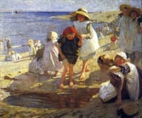 The Beach