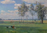 Summer Day