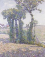 Summer Landscape, Provence
