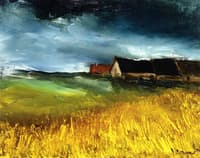 Houses by the Fields