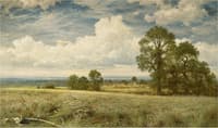 A Summer's Day