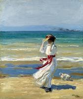 Windy Day