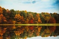Autumn trees reflected in lake