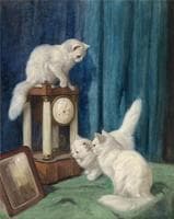 Three Curious Cats