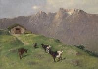 Mountain Goats
