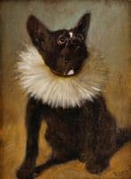 French bulldog