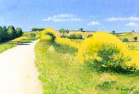 Route aux Genets