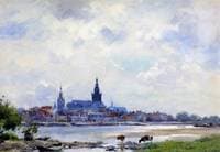 Cows near river at Nijmegen