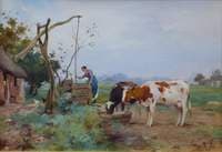 Cows Drinking